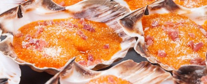 Vieiras a la gallega con pan rallado