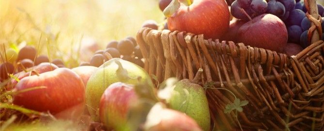 frutas y verduras de otoño