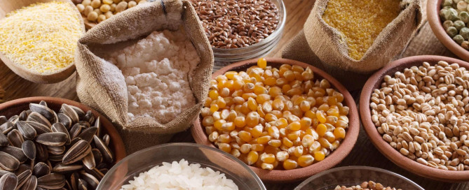 razones-incorporar-pan-rallado-dieta