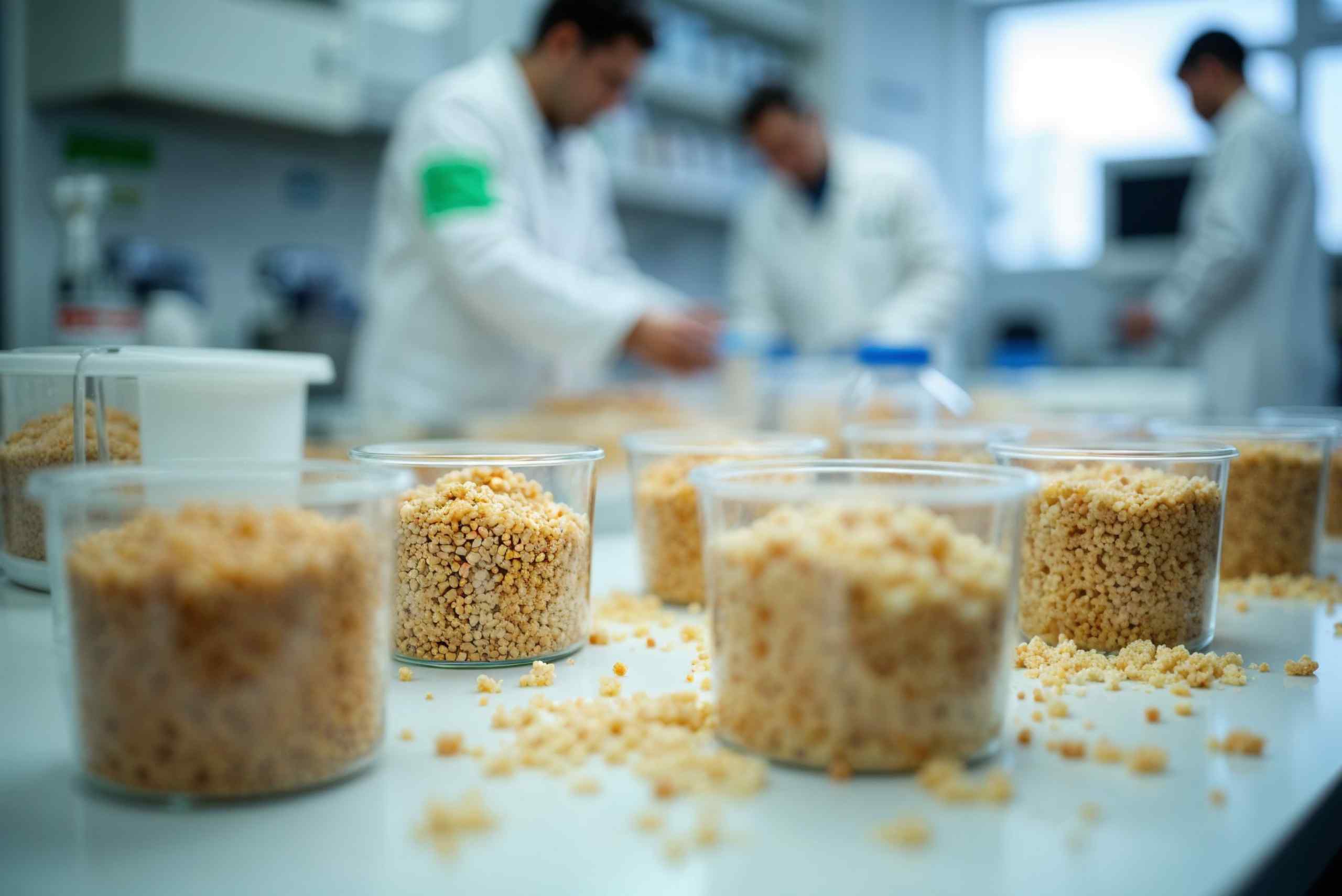 acompanamiento-tecnico-fabricante-pan-rallado