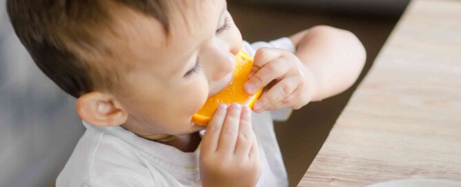 alimentos saludables que fortalecen el sistema inmune